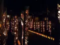 ほの宵まつりの写真_262255