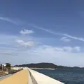鳥羽マルシェの写真_262370