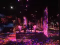 【閉業】森ビルデジタルアートミュージアム：エプソン チームラボボーダレス（MORI Building Digital Art Museum: EPSON teamLab Borderless）の写真_262527