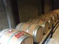 天橋立ワイン（株）の写真_262714