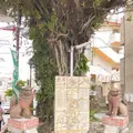 壺屋やちむん通りの写真_262872