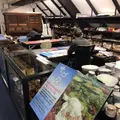 首里琉染の写真_262891