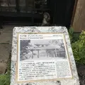 首里琉染の写真_262893