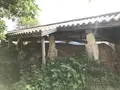 南窯の写真_262909