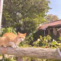 南窯の写真_262911