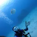 慶良間諸島周辺の写真_262959