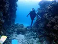 慶良間諸島周辺の写真_262961