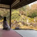 圓徳院の写真_263624