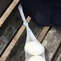 湯元の広場の写真_263669