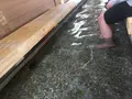 湯っ足りパークの写真_263670