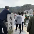 渡月橋の写真_263955
