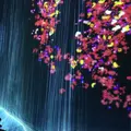 【閉業】森ビルデジタルアートミュージアム：エプソン チームラボボーダレス（MORI Building Digital Art Museum: EPSON teamLab Borderless）の写真_264174