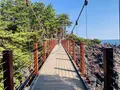 城ヶ崎海岸の写真_264609
