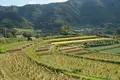 栃又の棚田の写真_265183