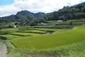 尾戸の口棚田の写真_265184