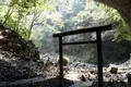 天岩戸神社の写真_265228