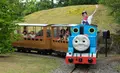 富士急ハイランドの写真_265402