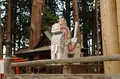 櫛引八幡宮の写真_265554