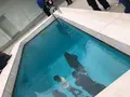 金沢21世紀美術館の写真_265660