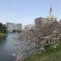 皇居の写真_265698