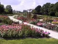 Rozentuin Coloma (Agentschap voor Natuur en Bos)の写真_265803