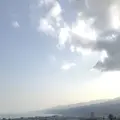 小田原城の写真_266131