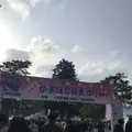 小田原城の写真_266134