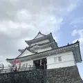 小田原城の写真_266135