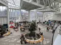 五稜郭タワーの写真_267043
