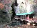 秋芳洞の写真_267314