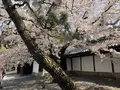 佛光寺の写真_267737