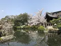 神泉苑の写真_267751