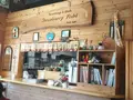 ストロベリーフィールドの写真_267819