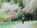 宇津ノ谷峠の写真_267854