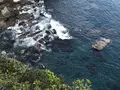 足摺岬の写真_267923
