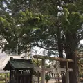 近藤勇生家跡の写真_268069