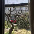 ちばいの写真_268080