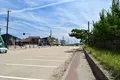 おさかな集積所”おとと”の写真_268313