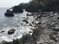 城ヶ崎海岸の写真_268591