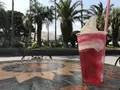 伊豆海洋公園の写真_268633