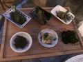 かねよ食堂の写真_268666