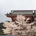 極楽寺の写真_268986