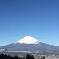 ふじみ茶屋の写真_269369