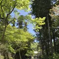 円覚寺の写真_270754