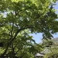 円覚寺の写真_270755