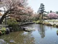 兼六園の写真_270905