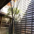 お茶屋文化館の写真_270914