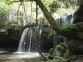 鍋ヶ滝の写真_271192