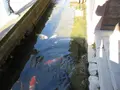 津和野城跡の写真_271194