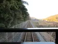 SLやまぐち号（新山口〜津和野）の写真_271195